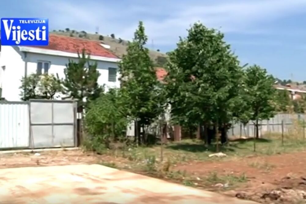 platani, Zagorič, Foto: Screenshot (YouTube)