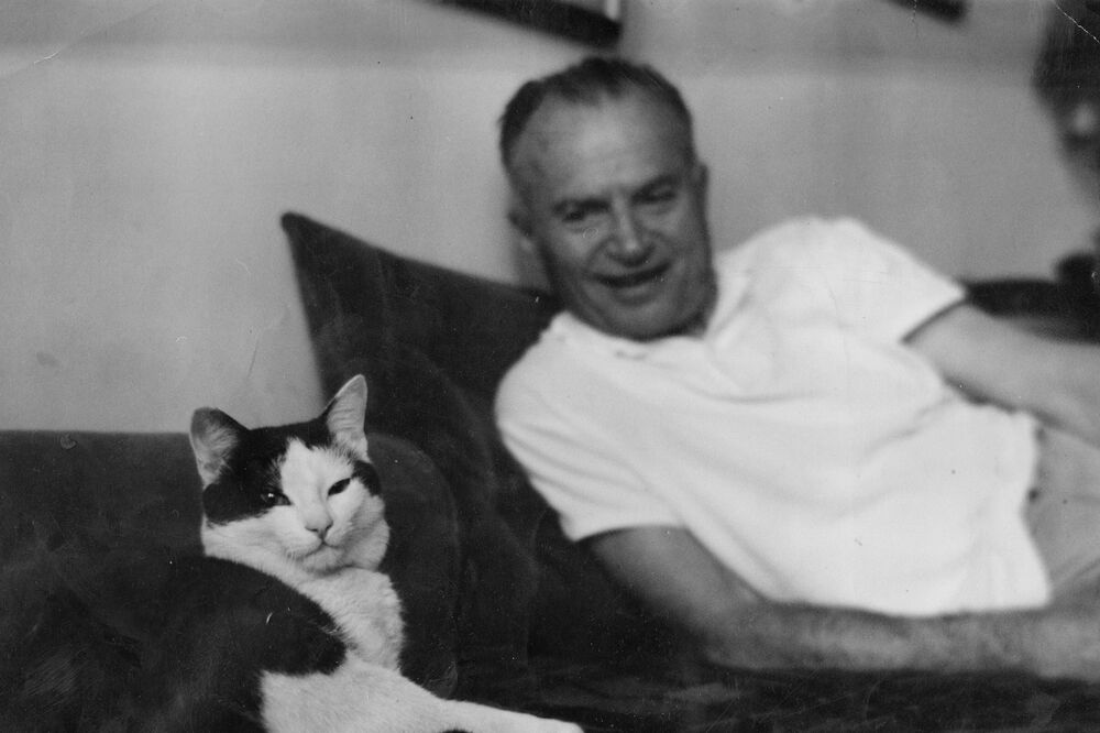 Radovan Zogović (novina)