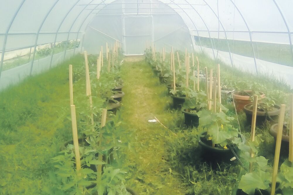 plastenik škola Kolašin, Foto: Privatna arhiva