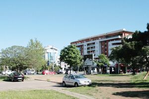 DPS Podgorica: Na svome bi kule, a na tuđem livade