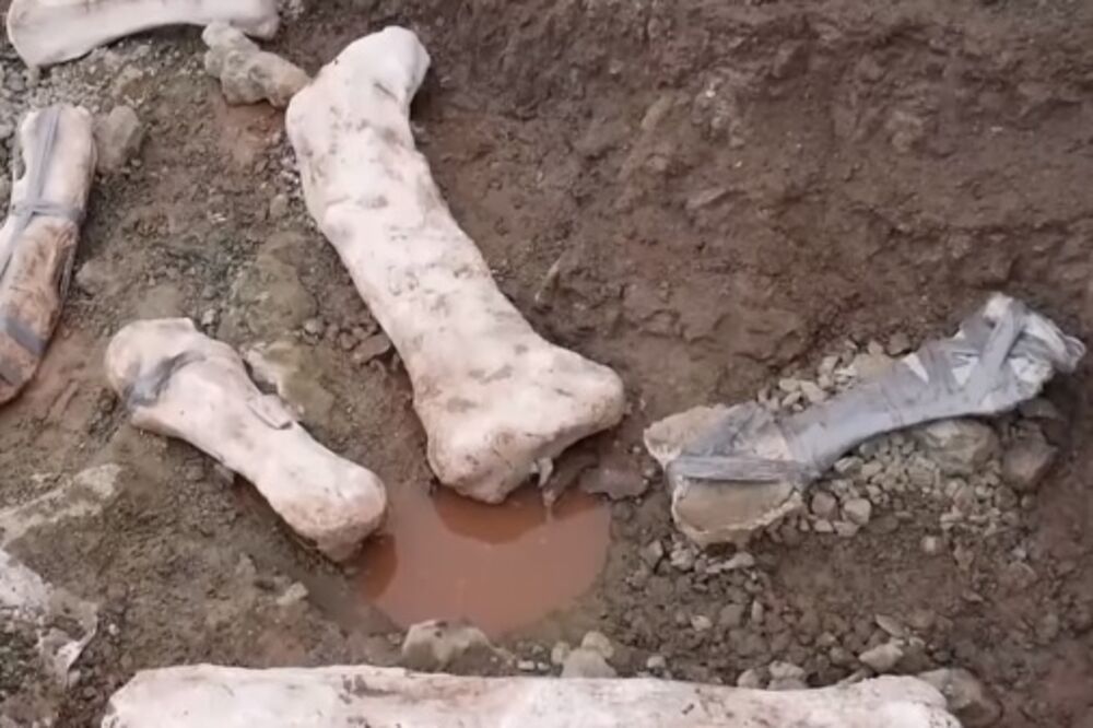 dinosaurus Španija, Foto: Screenshot (YouTube)