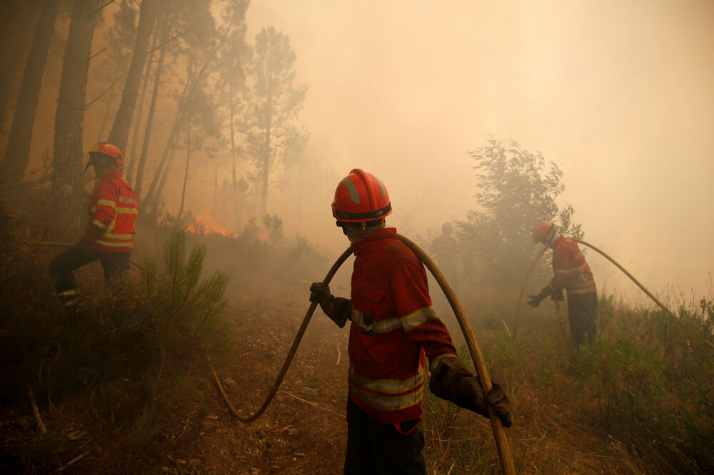 Portugal, požar, Foto: Reuters