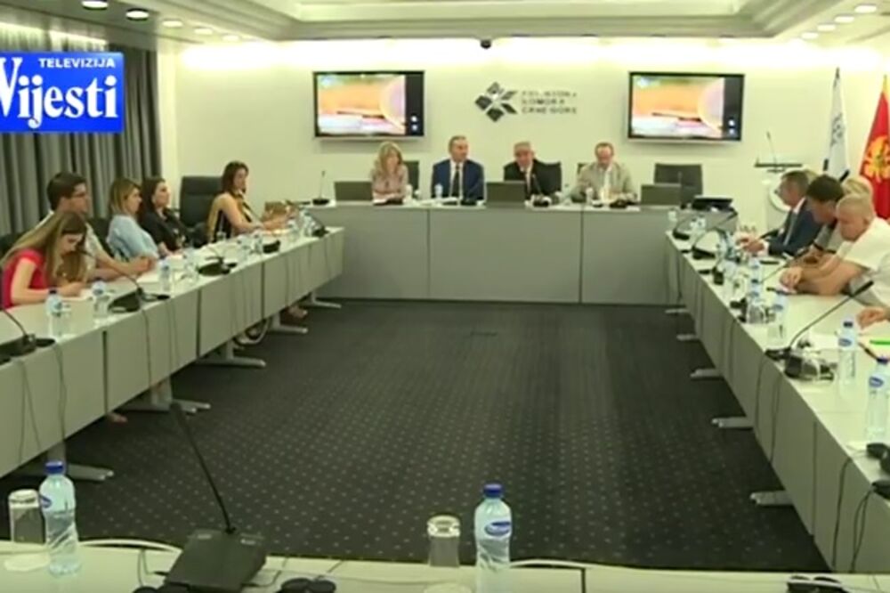 okrugli sto, Foto: Screenshot (YouTube)