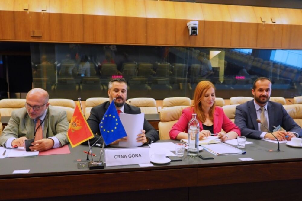 Aleksandar Pejović, EU, Foto: Ministarstvo evropskih poslova