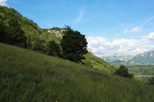 U utorak toplo uz razvoj dnevne oblačnosti