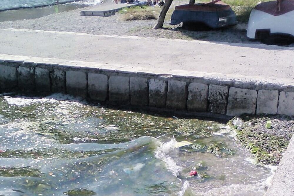 risan prljave plaže, Foto: Slavica Kosić