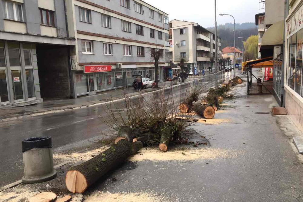 sječa drveća Pljevlja, Foto: Ekološko društvo Breznica