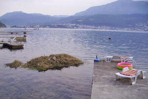 Herceg Novi: Zeleni otpad u moru