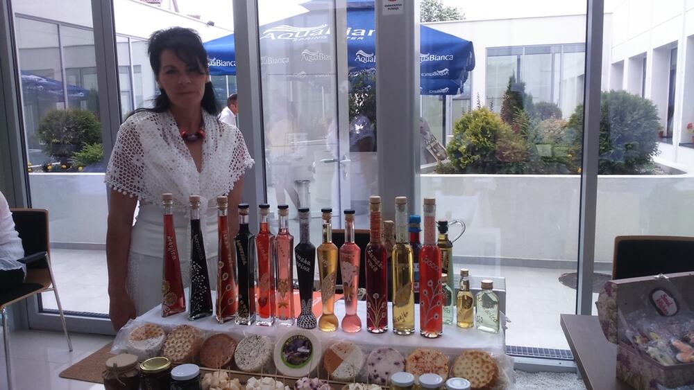 Sajam ideja, Nikšić