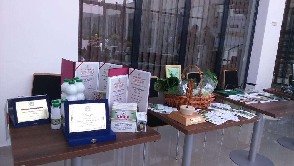 Sajam ideja, Nikšić