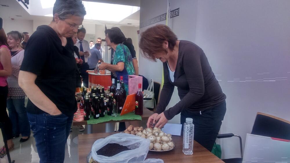 Sajam ideja, Nikšić