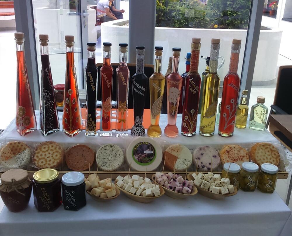 Sajam ideja, Nikšić