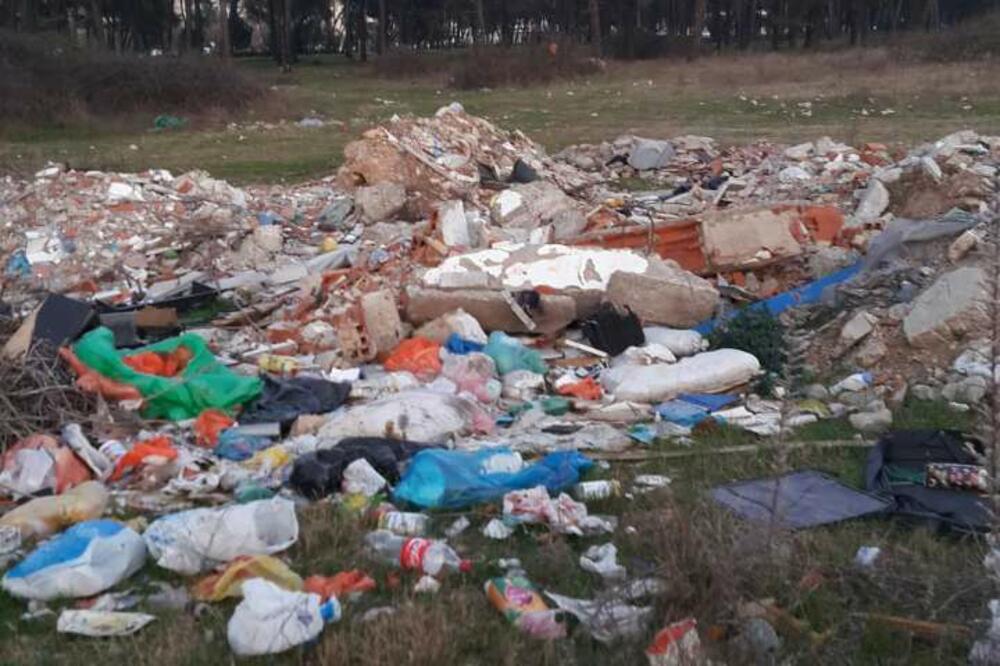 Tološka šuma smeće, Foto: Demos