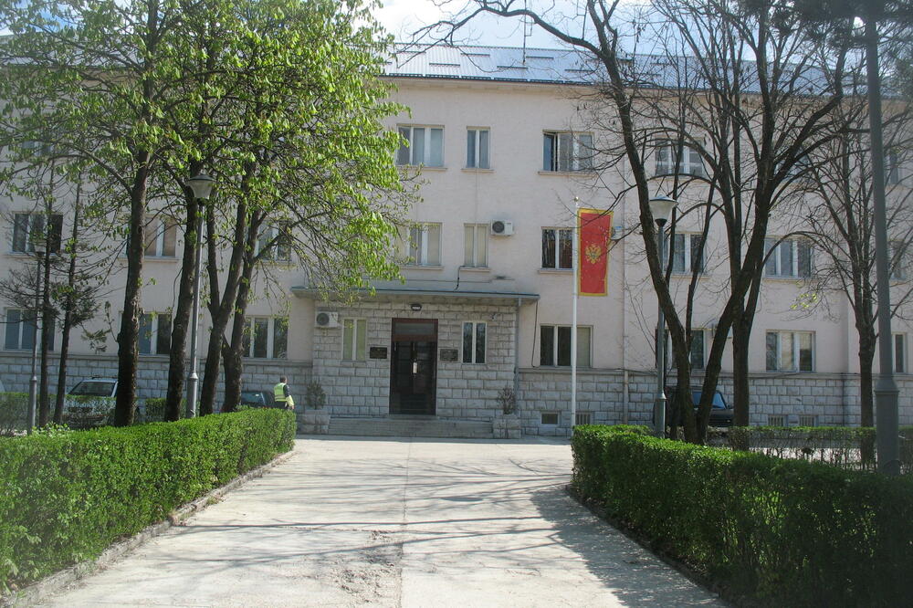 CB Nikšić, Foto: Svetlana Mandić