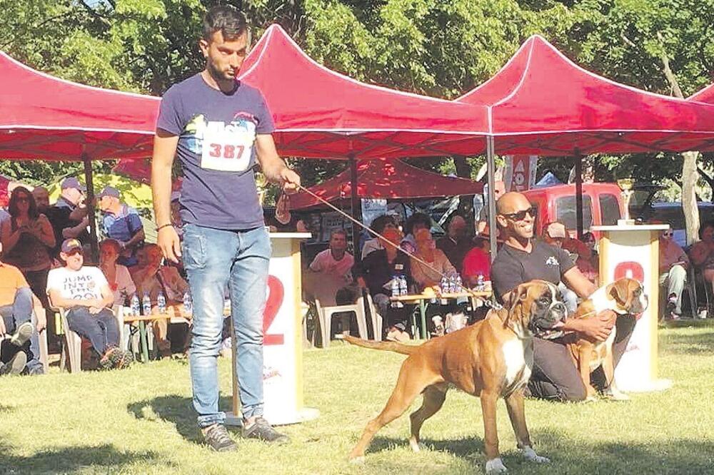 Miloš Krivokapić njemački bokser, Foto: Privatna arhiva