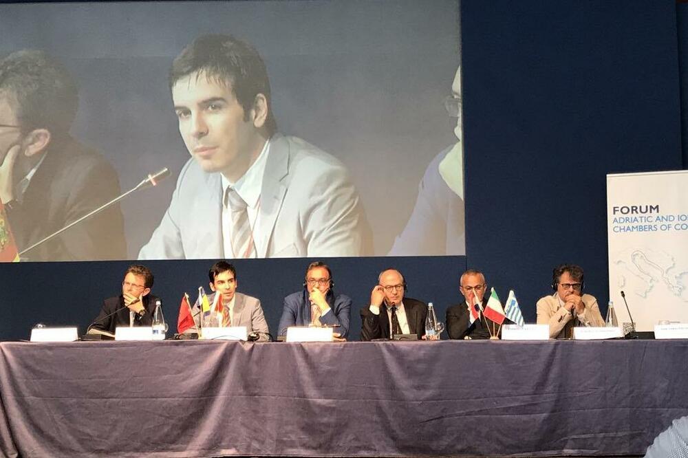 Vladimir Jokić Forum, Foto: Opština Kotor