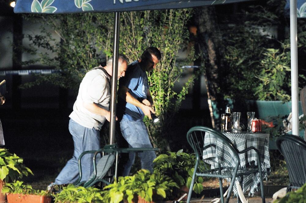 Rajska ptica, Murtovina, Foto: Savo Prelević