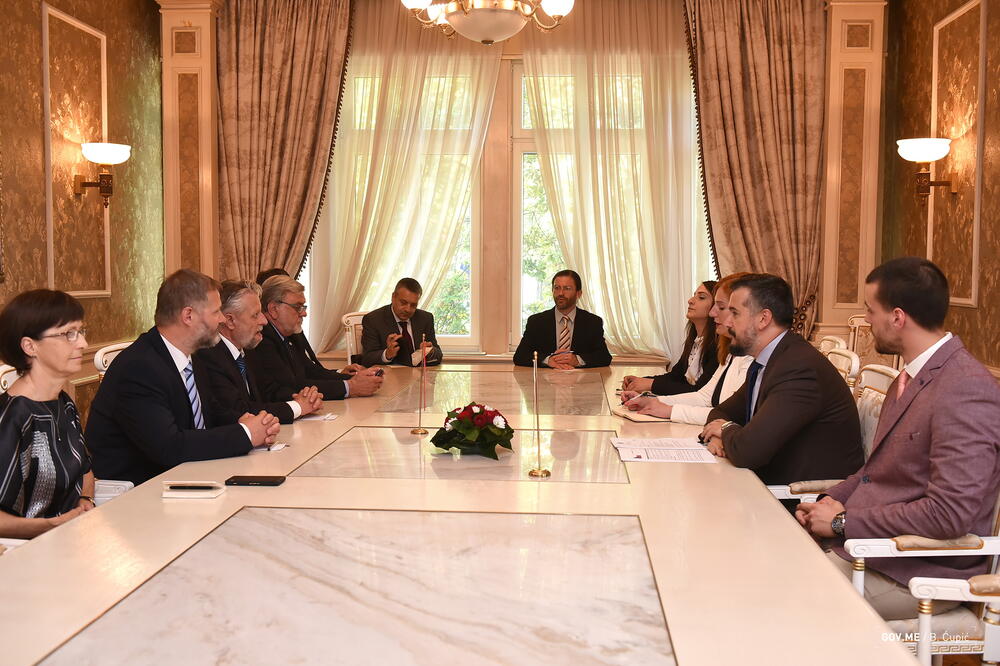 Aleksandar Andrija Pejović, Česi, Foto: Ministarstvo evropskih poslova