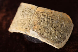 Kako kultura oblikuje ljudsku evoluciju