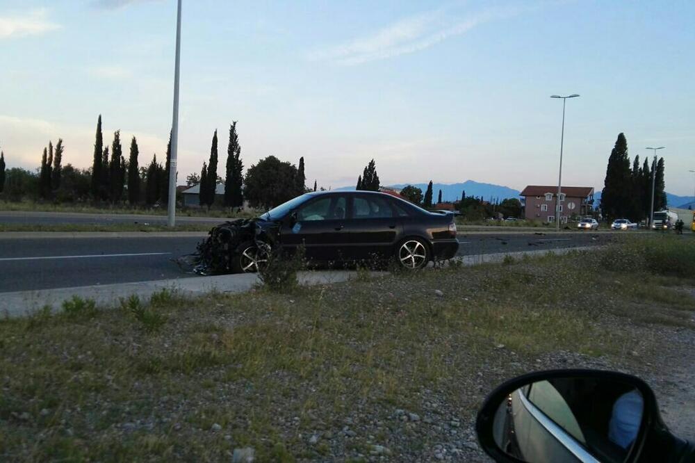 Udes, Golubovci, Foto: Dušan Cicmil