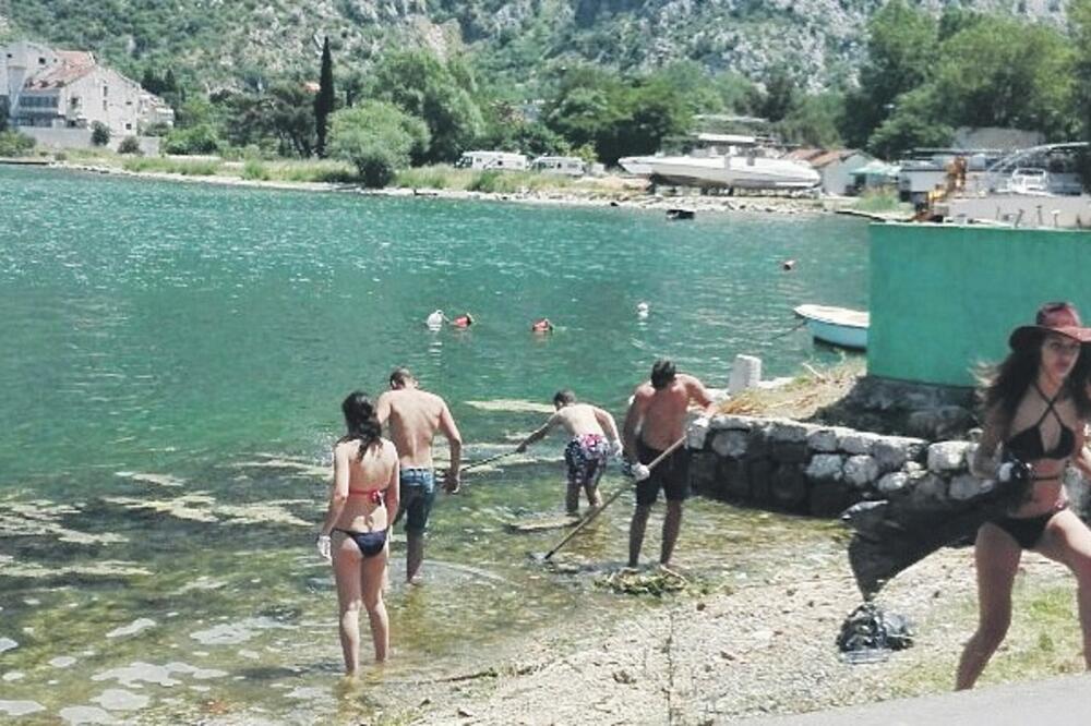 Muo, čišćenje obale, Foto: Naša akcija