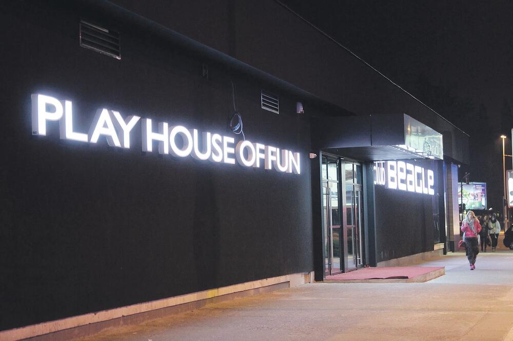 Beagle, Bigl, Foto: Filip Roganović