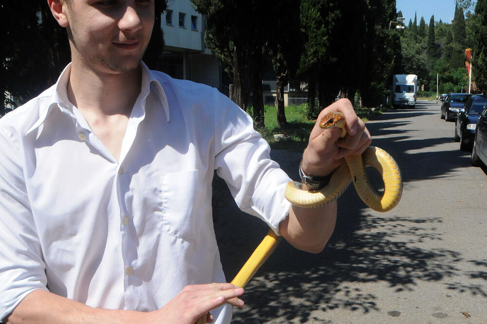 Miloš Pejović smuk, Foto: Luka Zeković