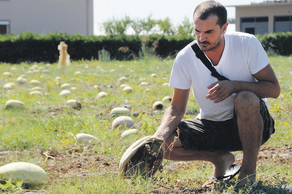 David Camaj, Foto: Luka Zeković
