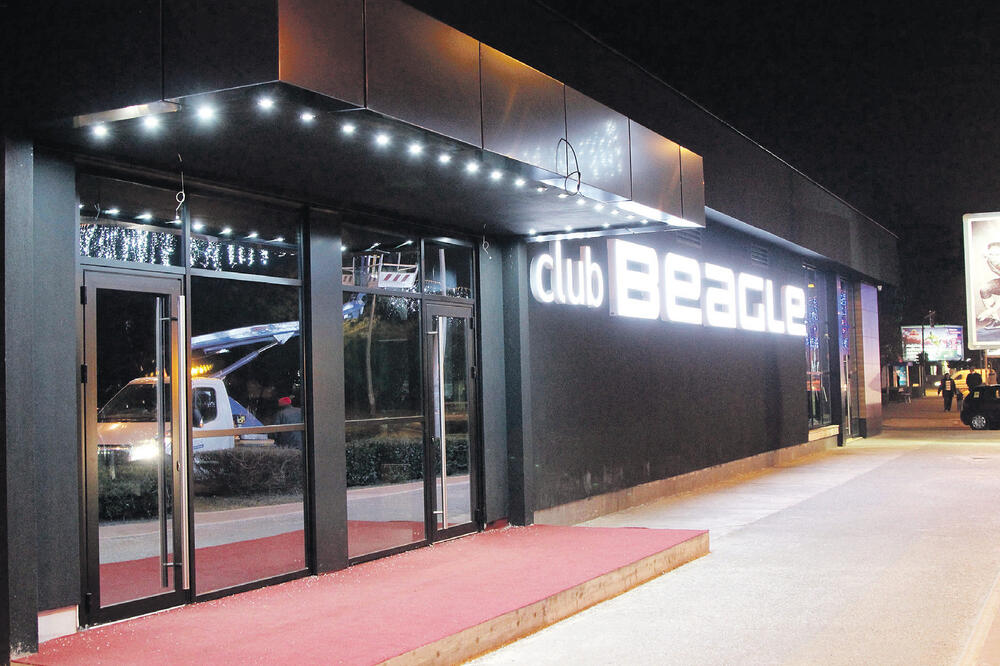 Diskoteka Beagle, Foto: Filip Roganović