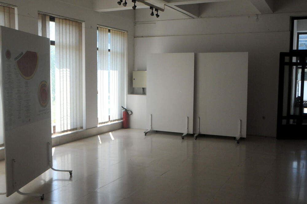 KIC Budo Tomović hol izložba Zoran Fatić, Foto: Luka Zeković