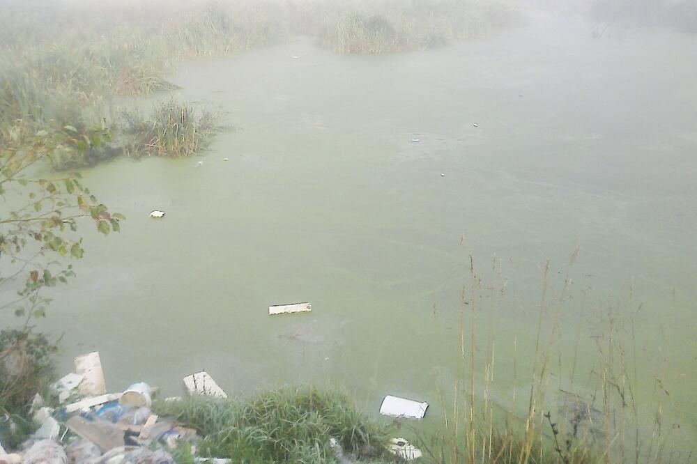 Fekalije Tara, Foto: Privatna arhiva