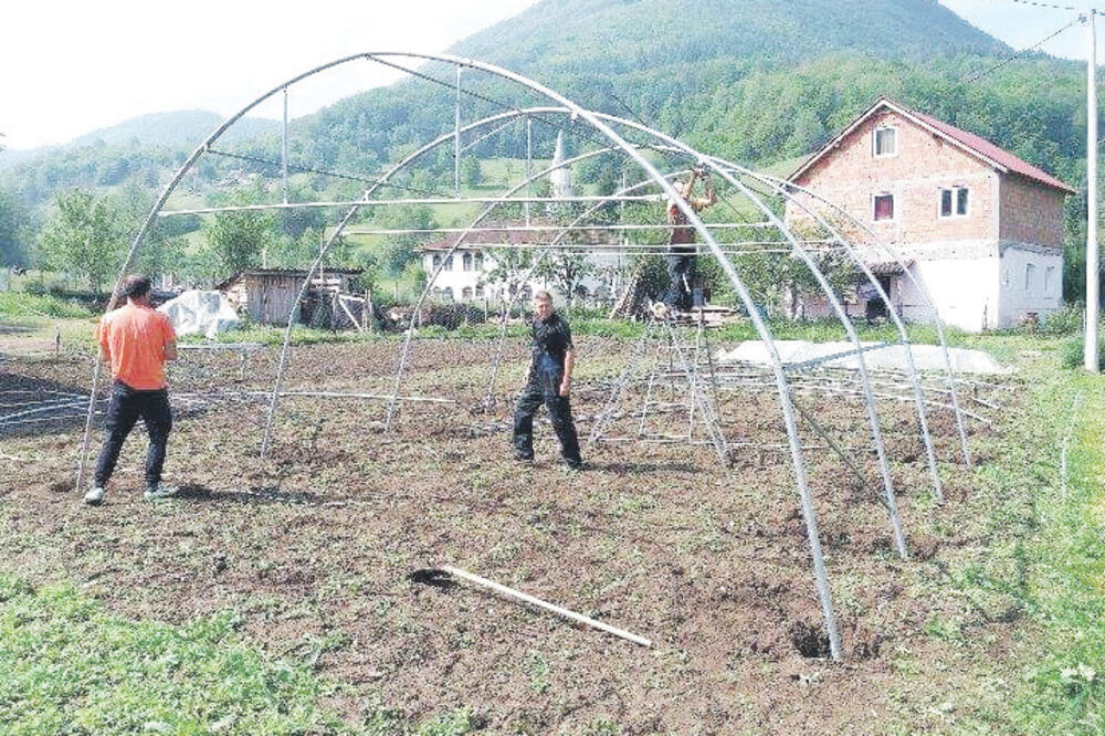 plastenici, plastenik, Foto: Sekretarijat