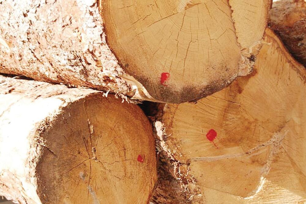 Drva, Foto: Privatna arhiva