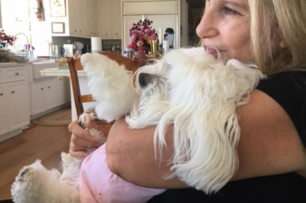 Barbara Strajsend, Foto: Facebook