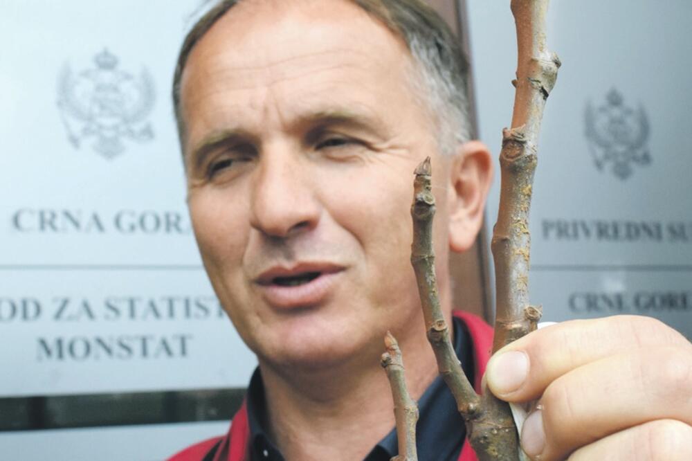 Radoslav Terzić, Foto: Luka Zeković