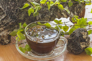 Čaj od breze čisti tijelo od toksina