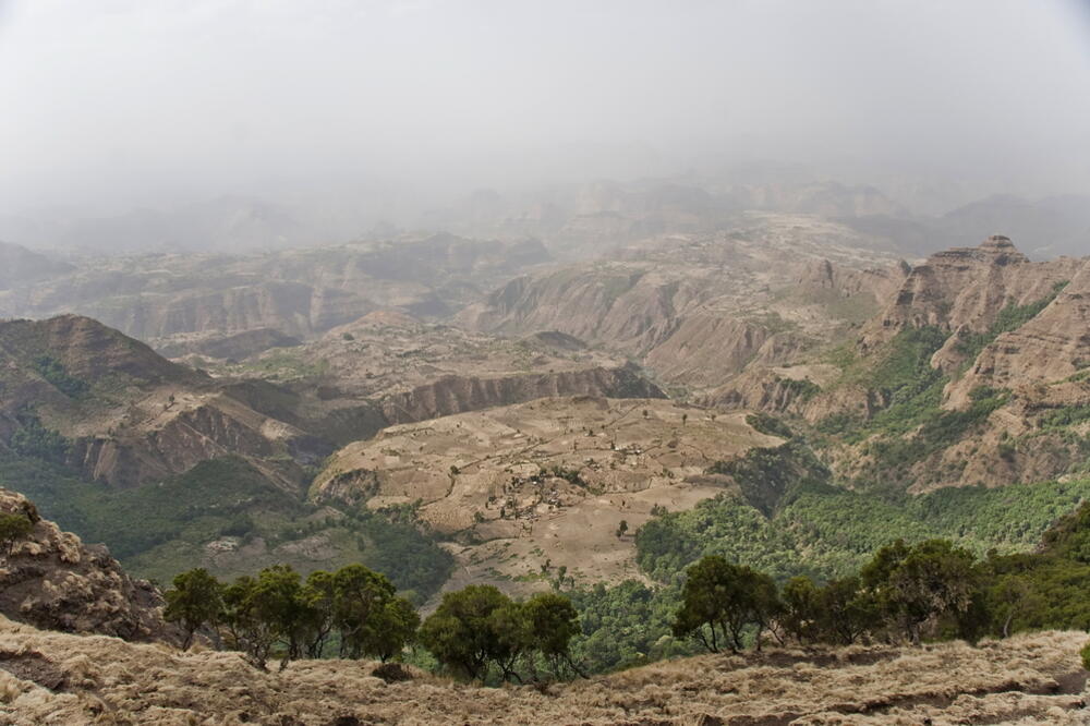 odron, Foto: Shutterstock