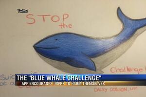 "Plavi kit": Lažna vijest koja je postala pravi problem