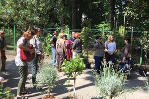 Tivat: Donatori na aukciji kupovali sadnice za Gradski park
