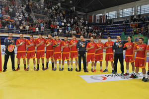 „Lavovi“ sa Švedskom u Nikšiću