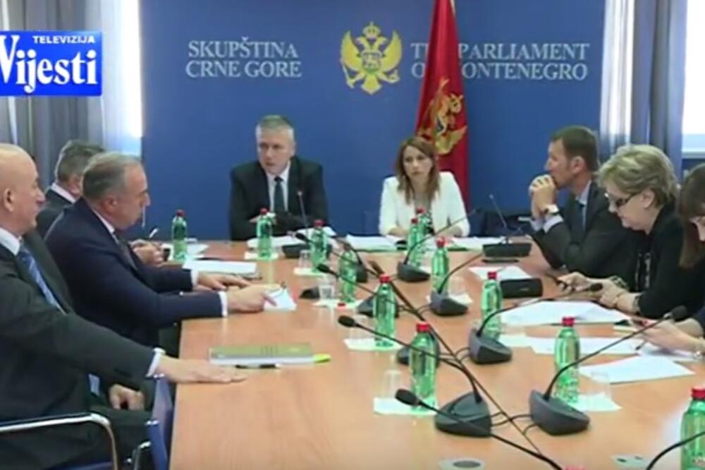 Odbor za politički sistem, Foto: Screenshot (TV Vijesti)