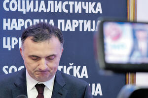 SNP Cetinje: Milić da uvede red u partiji