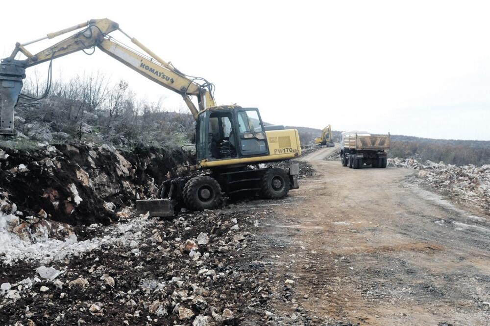 Zatrijebač, Foto: Luka Zeković