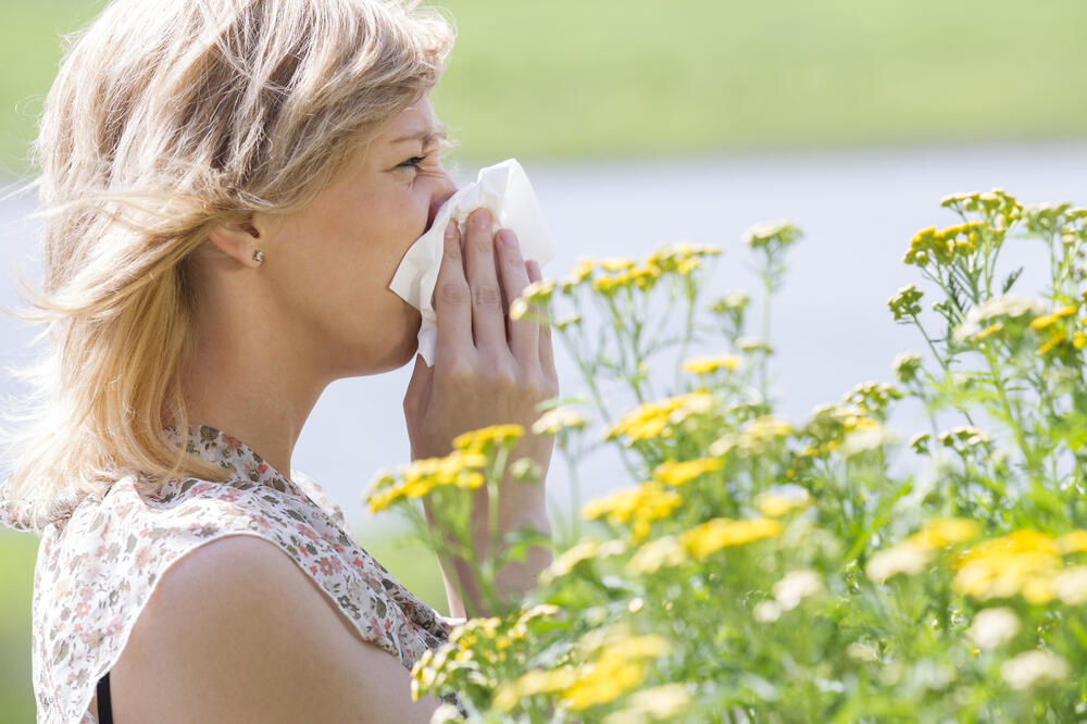 alergija, Foto: Shutterstock