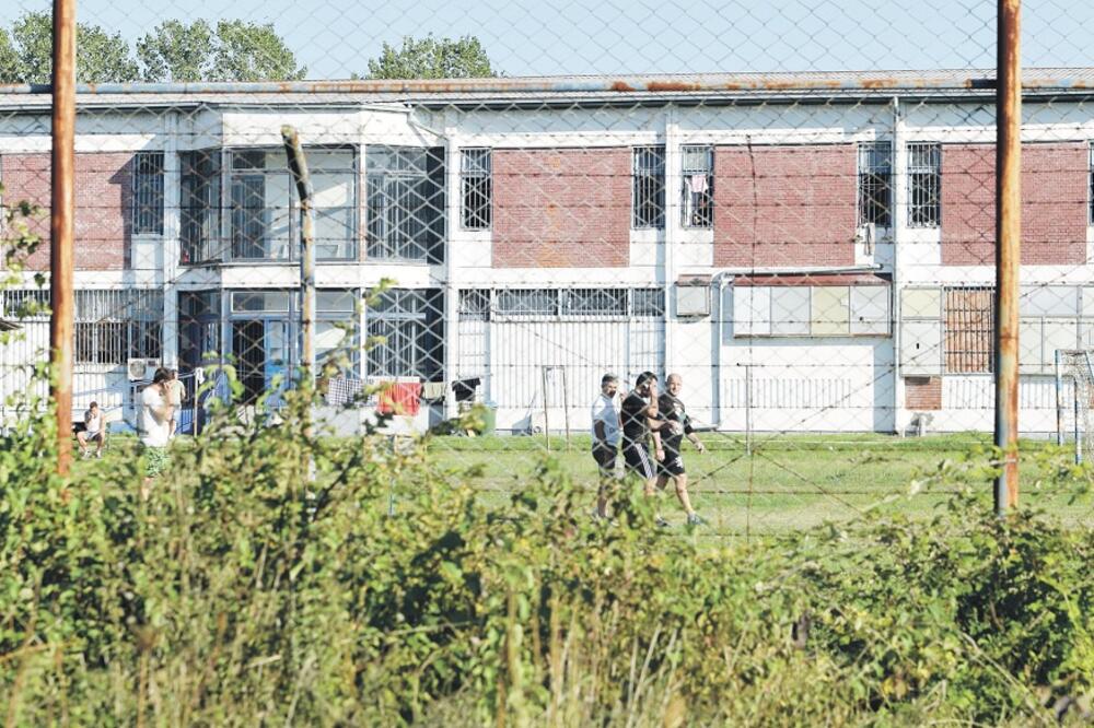 ZIKS, Foto: Boris Pejović