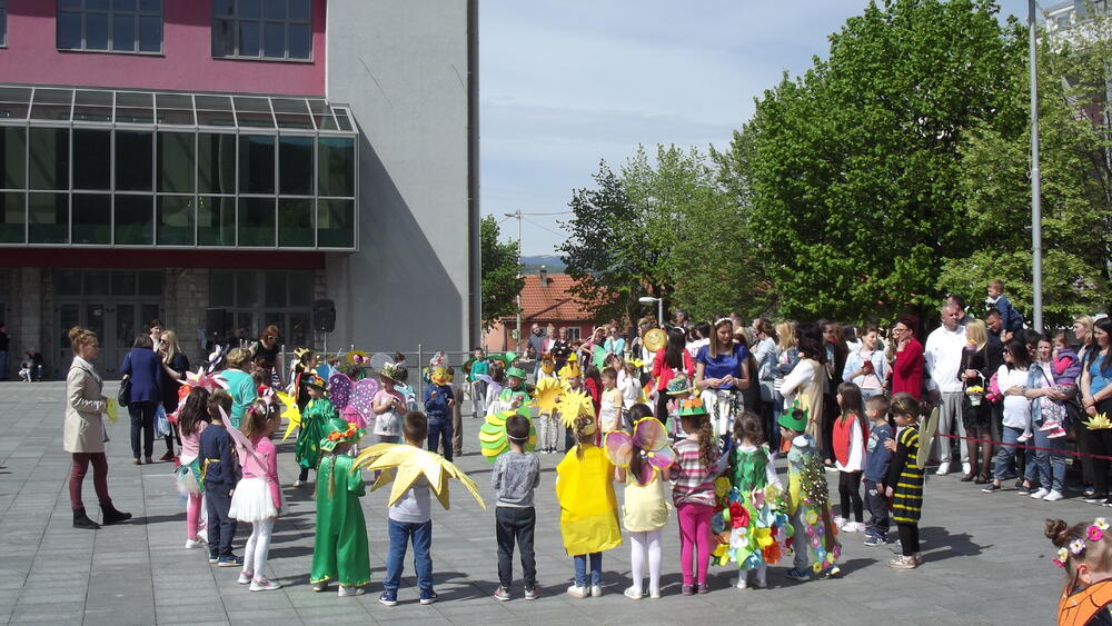 Pljevlja karneval