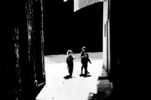 Spektakularne manifestacije života