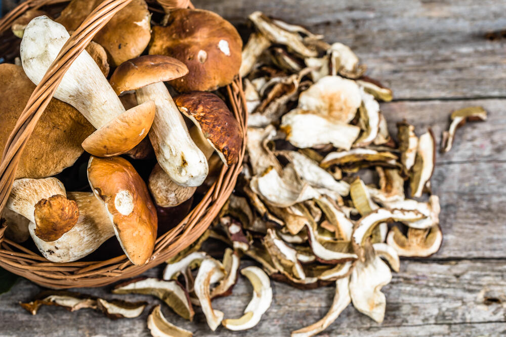 pečurke, Foto: Shutterstock