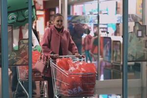 ''Dnevnica'': Umjetnica u zanatskim radovima