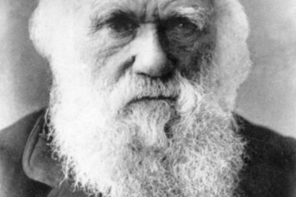 Čarls Darvin, Foto: Shutterstock